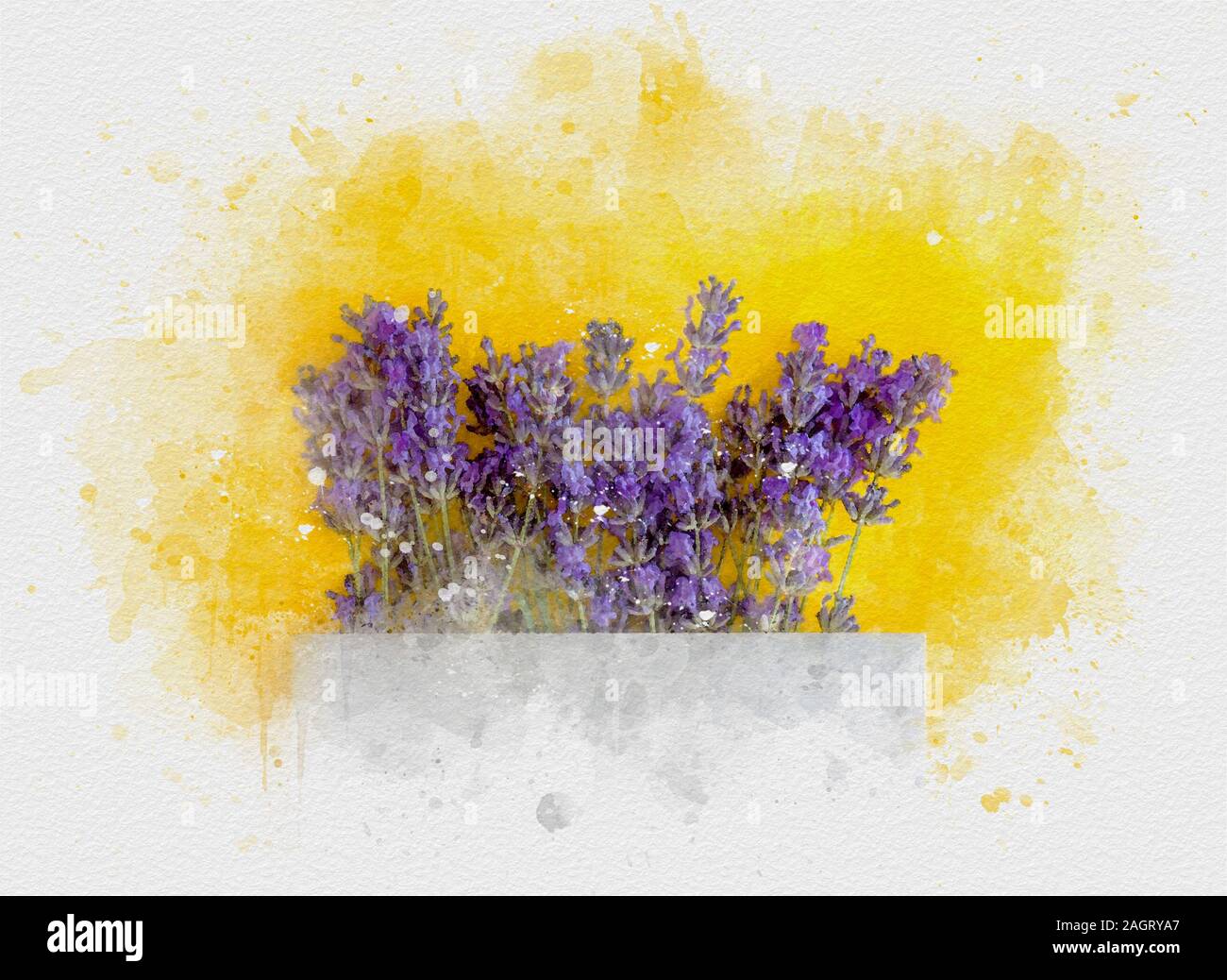 Illustration à l'aquarelle d'une peinture avec des taches de peinture, sur un fond jaune un bouquet de fleurs de lavande Banque D'Images