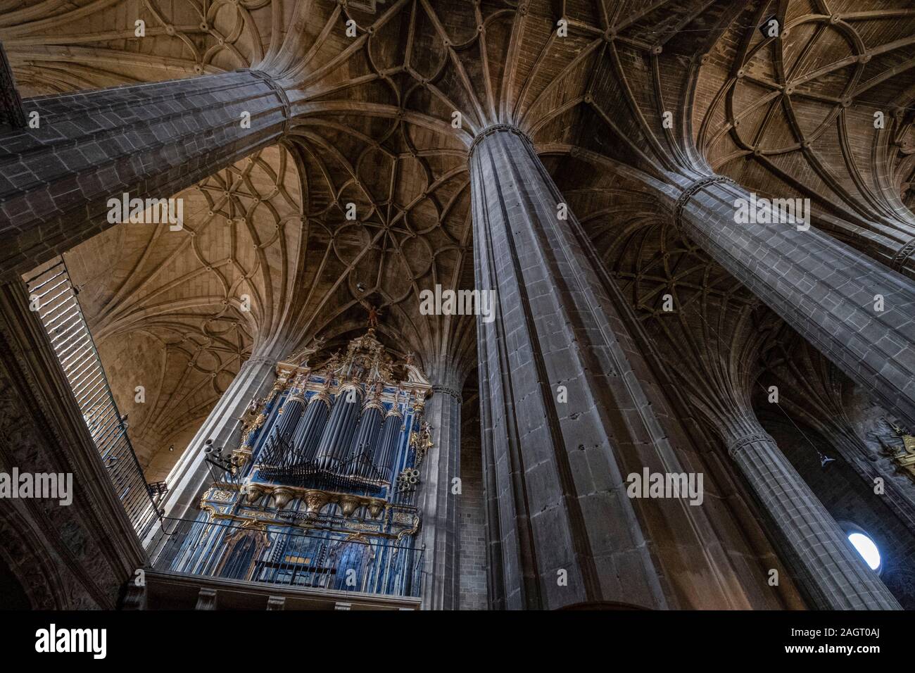 Pilares cilíndricos fascisculados, Iglesia de Nuestra Señora de la Asunción, siglo XVI, Briones, La Rioja, Espagne. Banque D'Images