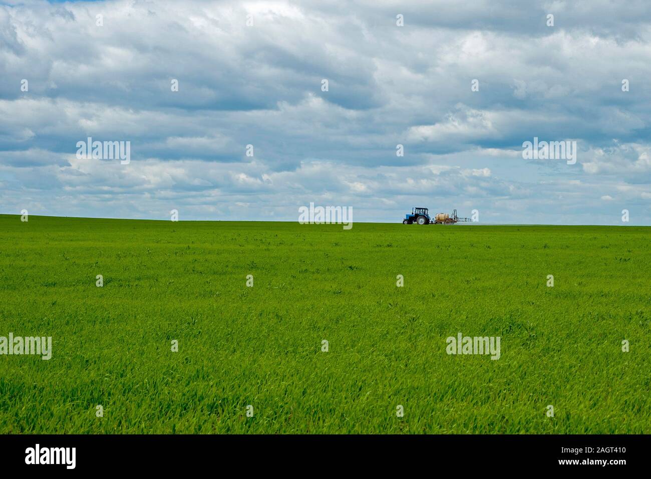 Domaine des travaux agricoles. Le tracteur se comporte à l'arrosage des cultures. Banque D'Images