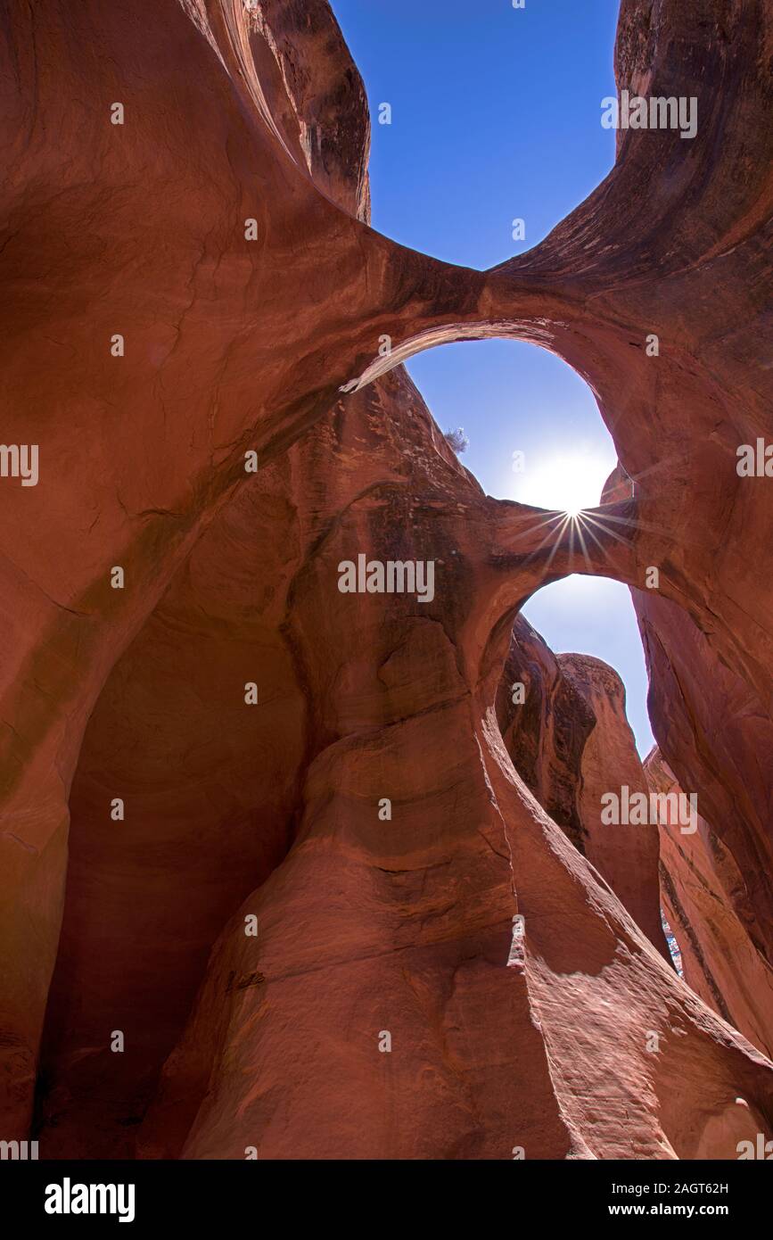 Peek-A-Boo slot canyon, Coyote Dry Fork, Grand Staircase Escalante National Monument (Utah) Banque D'Images