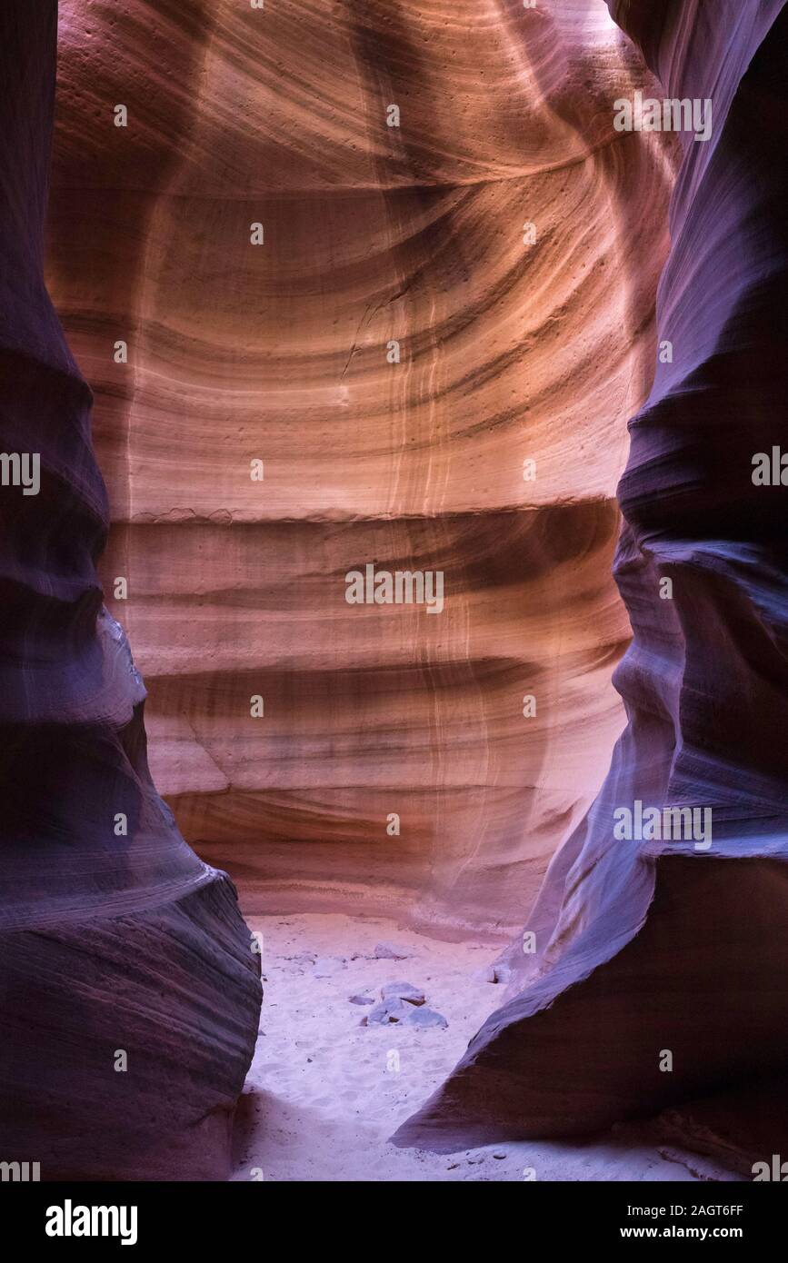 Vernis du désert de sa réserve Navajo Canyon, près de Page, Arizona Banque D'Images