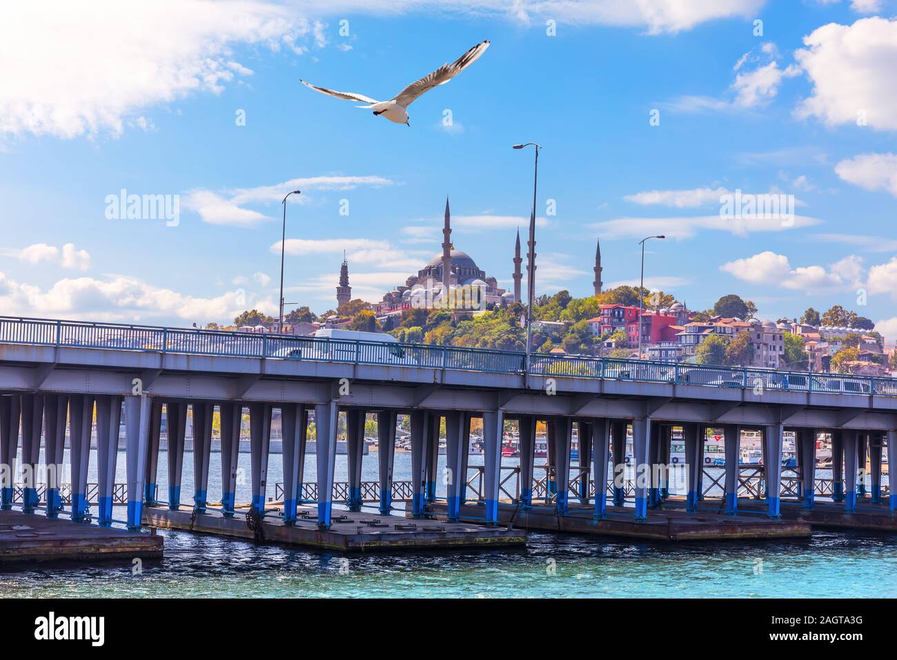 Un oiseau survolant le pont Atatürk et la mosquée de Soliman à Istanbul, l'arrière-plan Banque D'Images