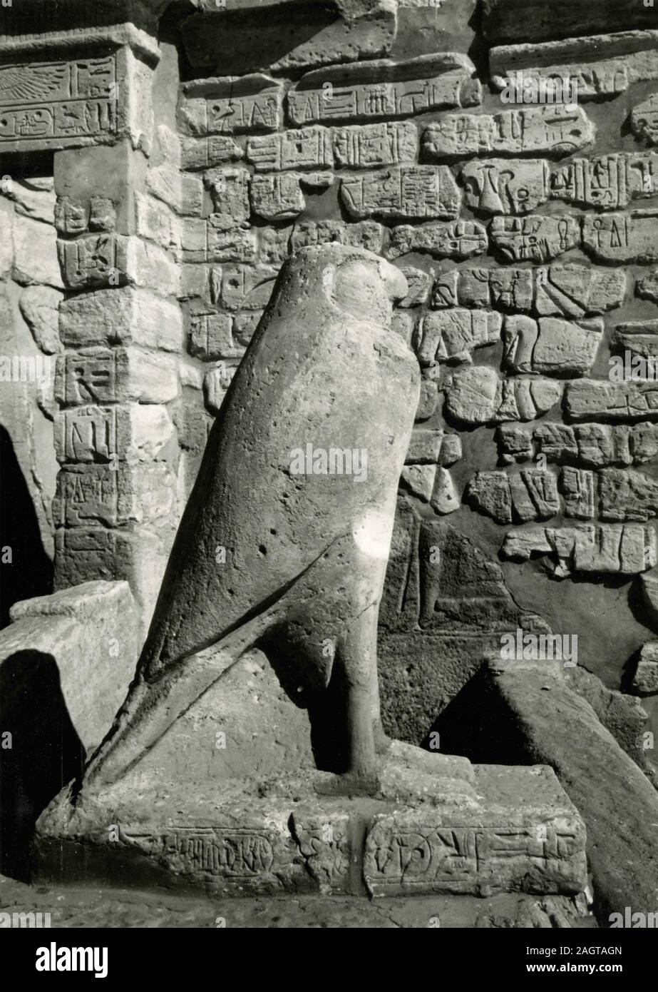 Dieu égyptien Horus comme un faucon, Abou Simbel, le Grand Temple d'Egypte 1950 Banque D'Images