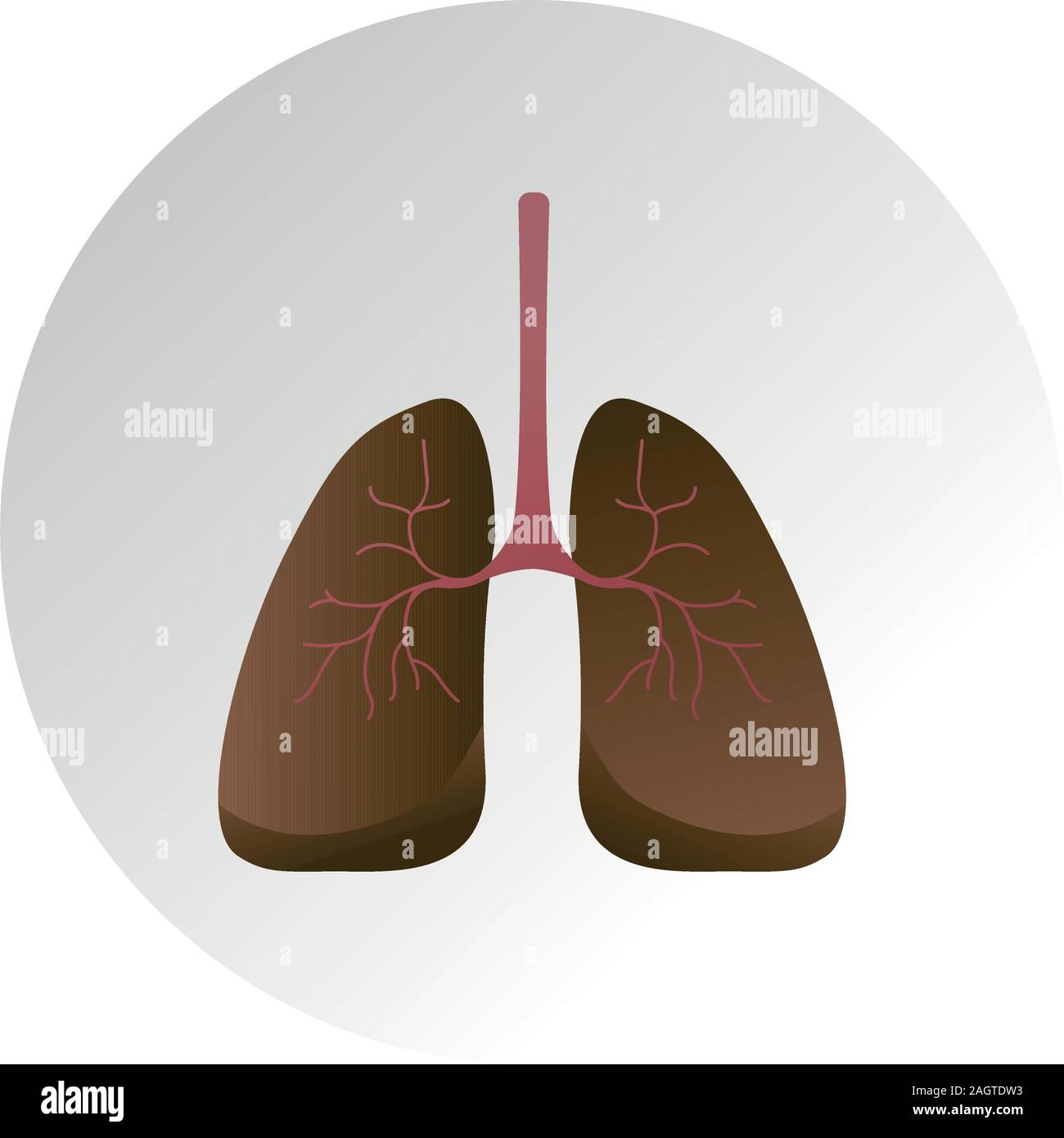 Les poumons humains. Mauvaise habitude de fumer concept. Vector illustration Illustration de Vecteur