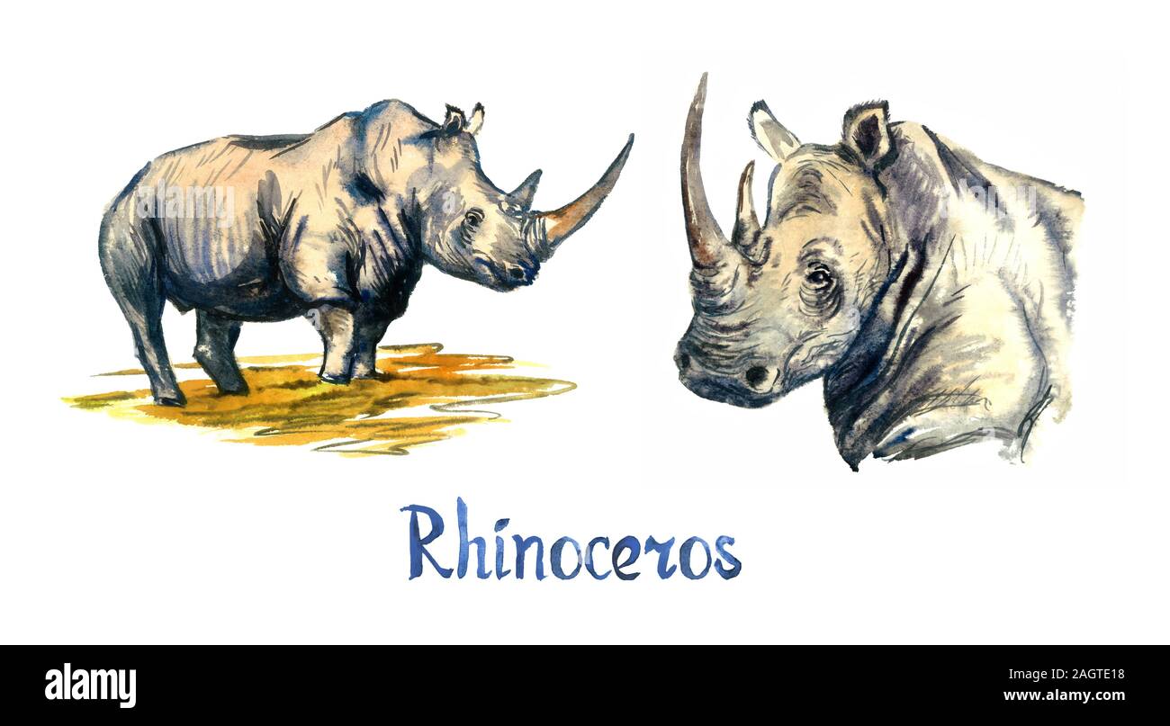 Jeu de rhinocéros, vue côté permanent et portrait, peint à l'aquarelle illustration isolé sur blanc, élément essentiel pour la conception Banque D'Images