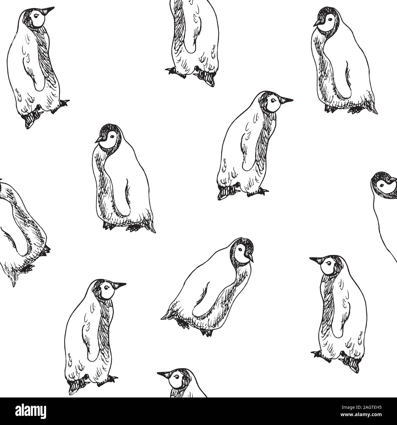 Les pingouins en train de marcher dans l'ordre, l'hand drawn doodle, sketch, pattern design transparent sur fond blanc Banque D'Images