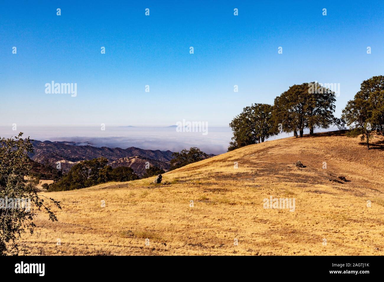 À l'ouest de la California State route 198 vers le bas dans la vallée de Salinas où le brouillard de l'océan pacifique des couvertures la vallée au petit matin Banque D'Images