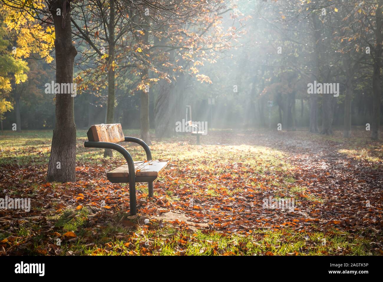 Bien allumé seul banc de parc sur un matin brumeux en automne Banque D'Images