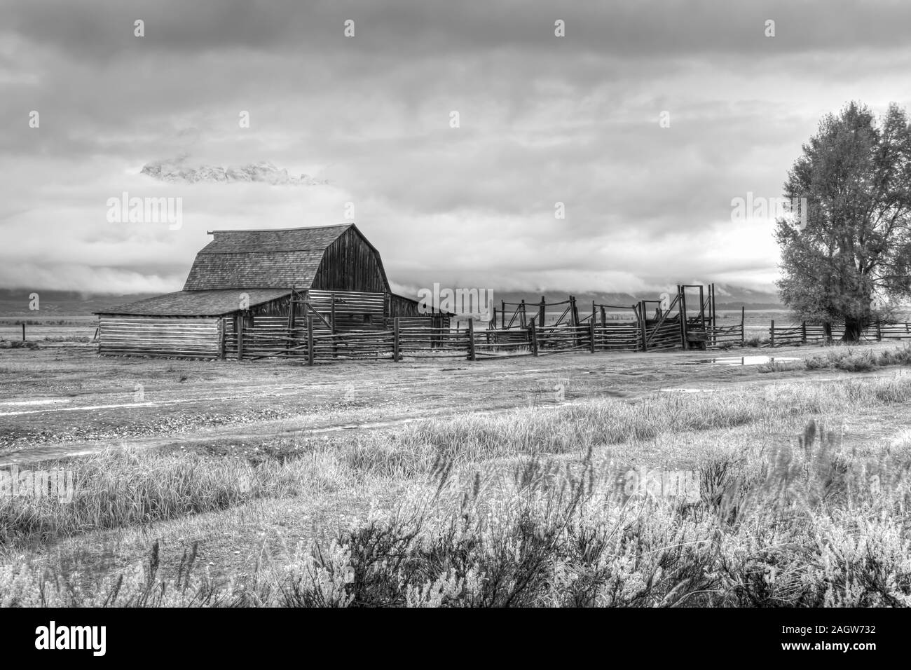 Le noir et blanc de la vieille grange Mormon dans Jackson Wyoming Banque D'Images