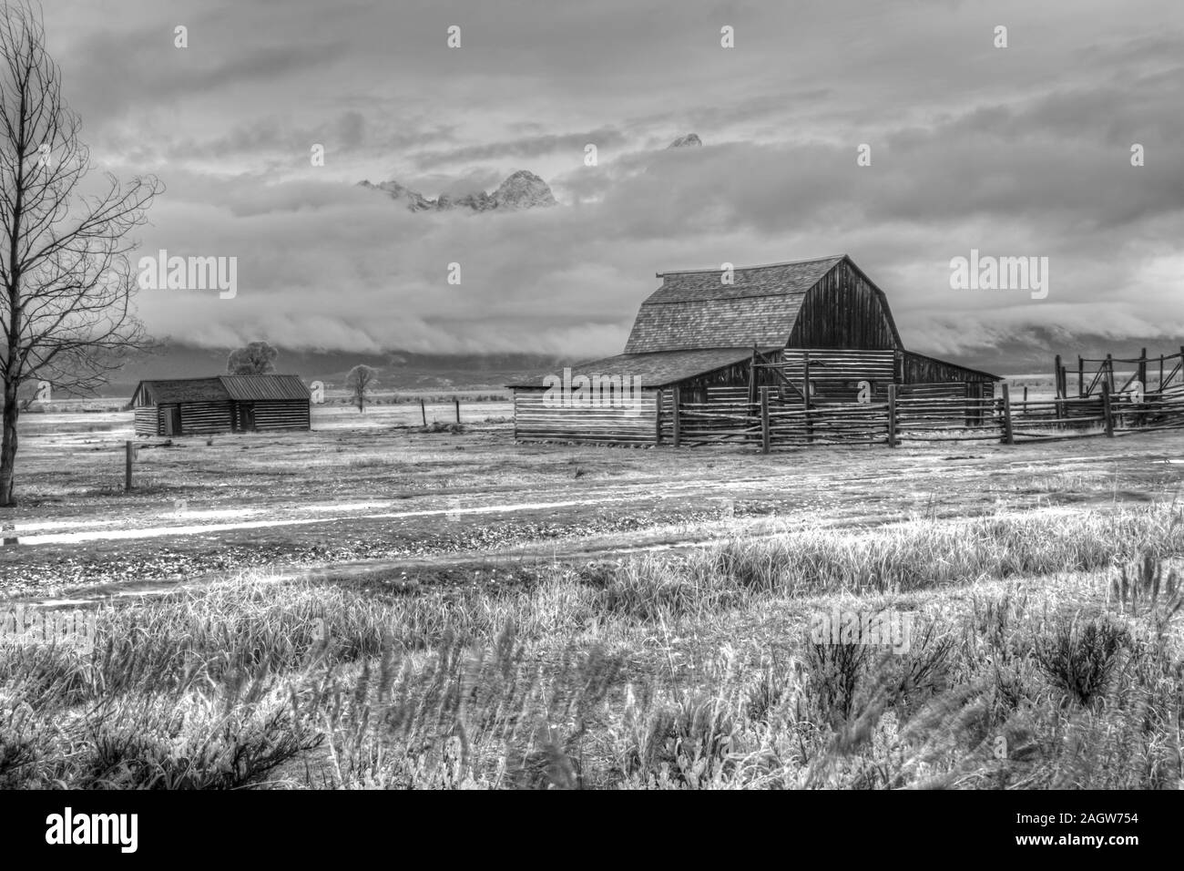 Le noir et blanc de la vieille grange Mormon dans Jackson Wyoming Banque D'Images