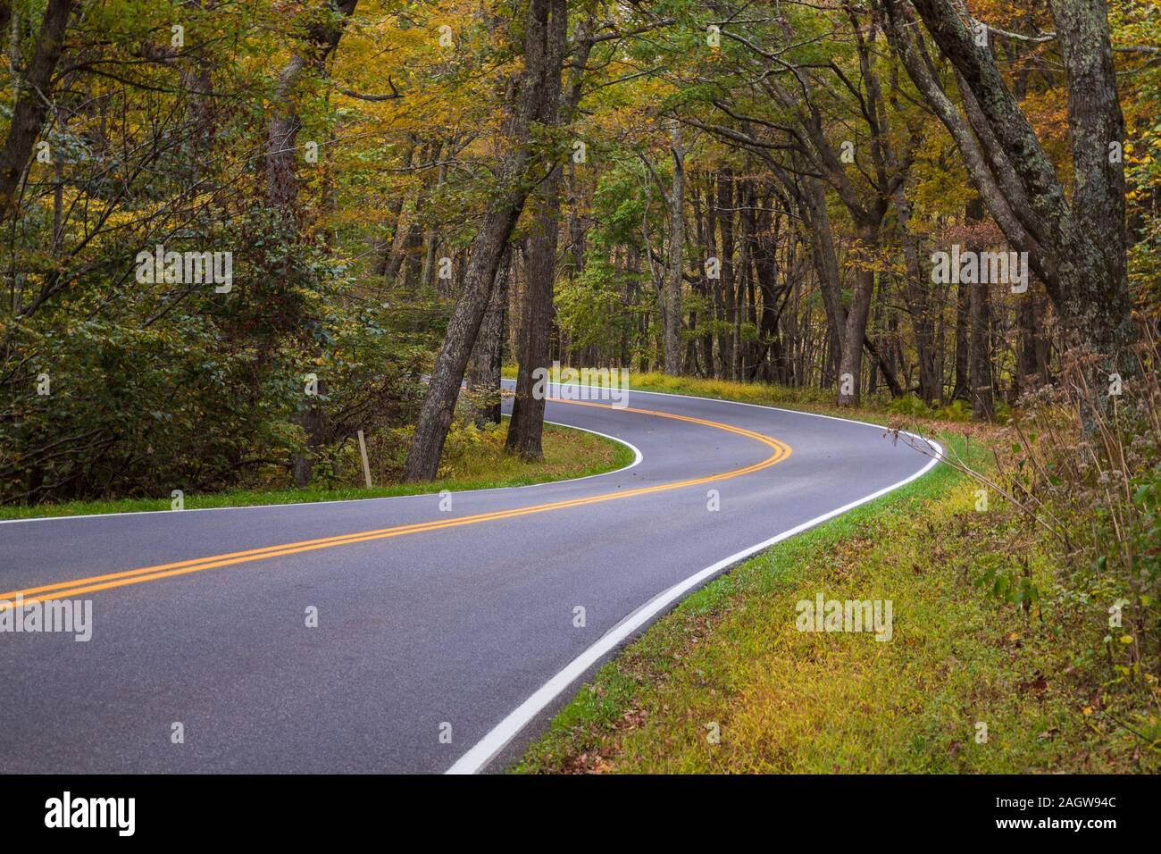 Skyline Drive le long de la courbe au début de l'automne d'Arbres et feuillage d'automne dans le Parc National Shenandoah Banque D'Images