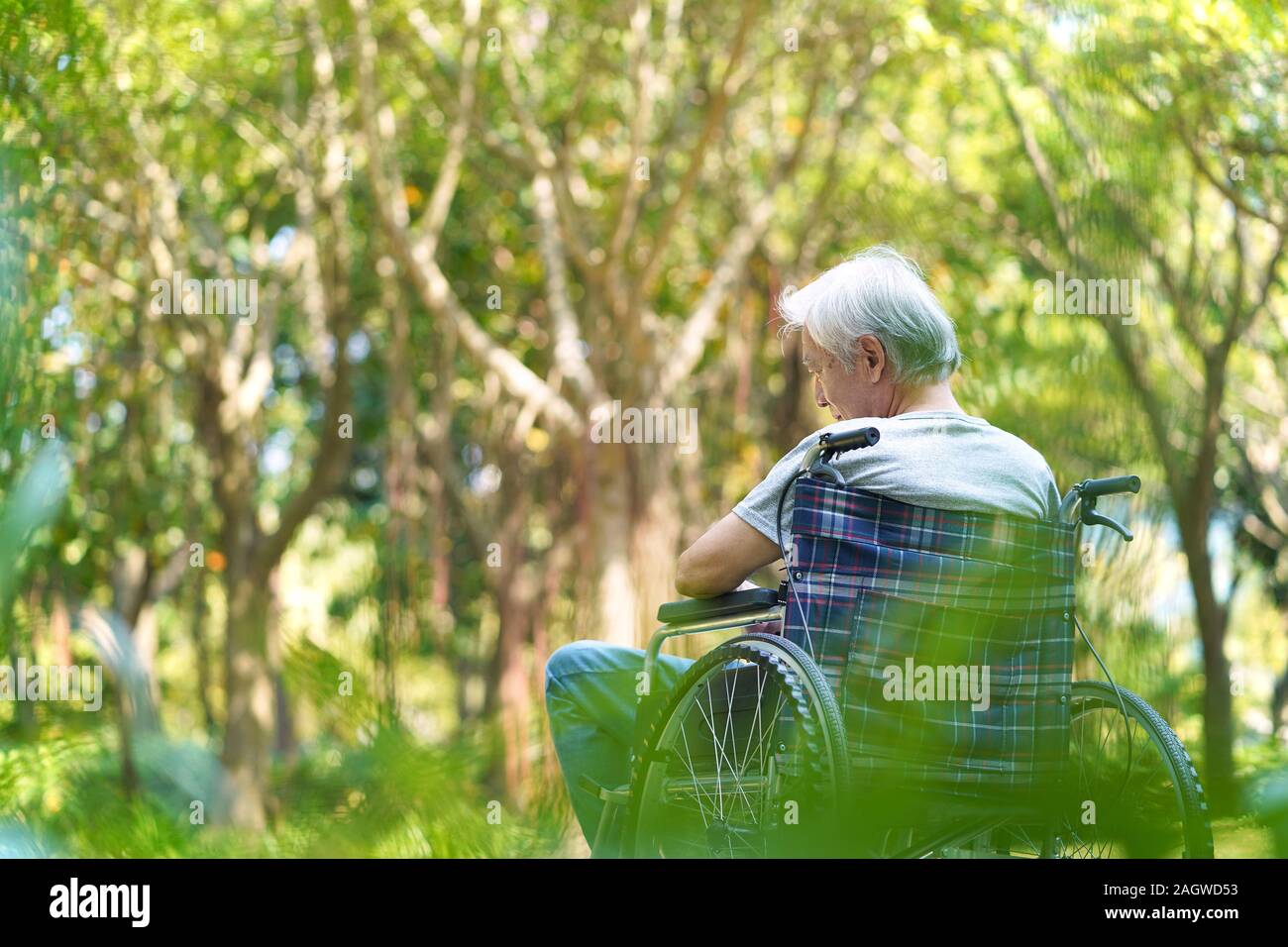 Vue arrière de l'asian senior man sitting outdoors in wheelchair Banque D'Images