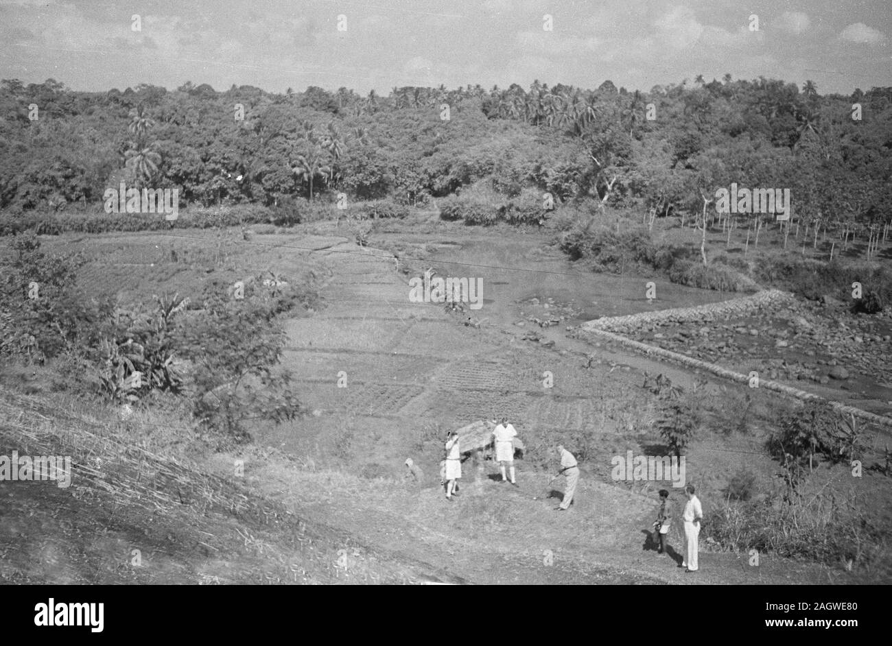 Buitenzorg : ici les liens de golf sont ouverts à nouveau à Bogor, Indonésie, Java, Dutch East Indies ca. 1947 Banque D'Images