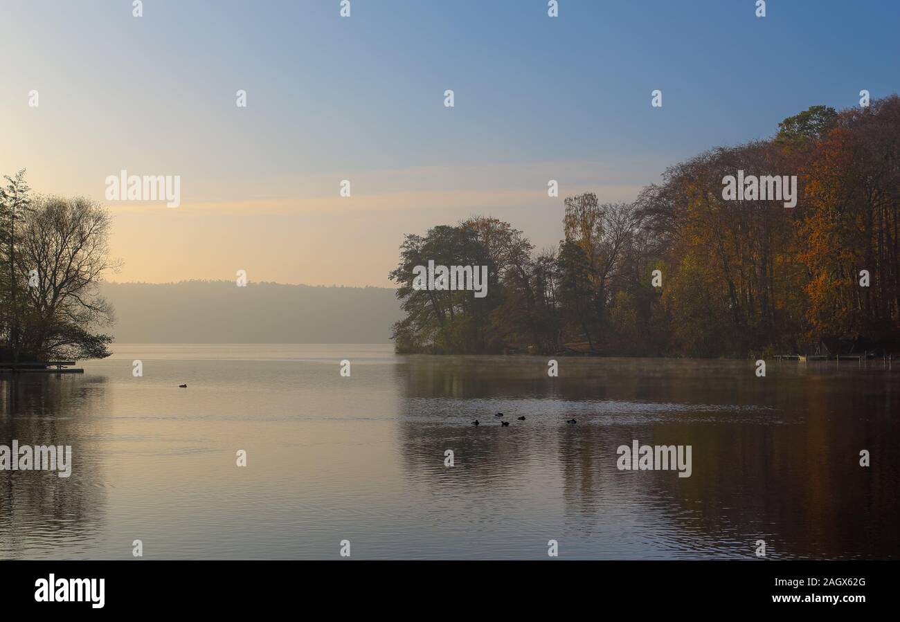 Le brouillard d'automne, à l'humeur à Malente Dieksee était magnifique et mystique. Banque D'Images