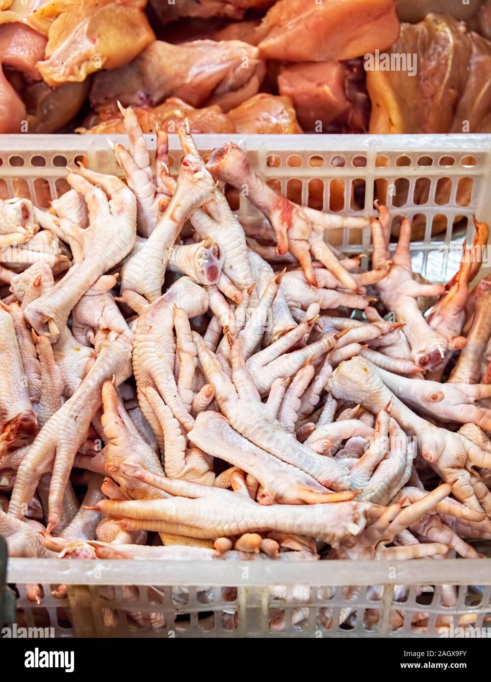 Vieux Marché Phsar Chas, Siem Reap Cambodge - Le poulet cru en caisse plastique pieds Banque D'Images