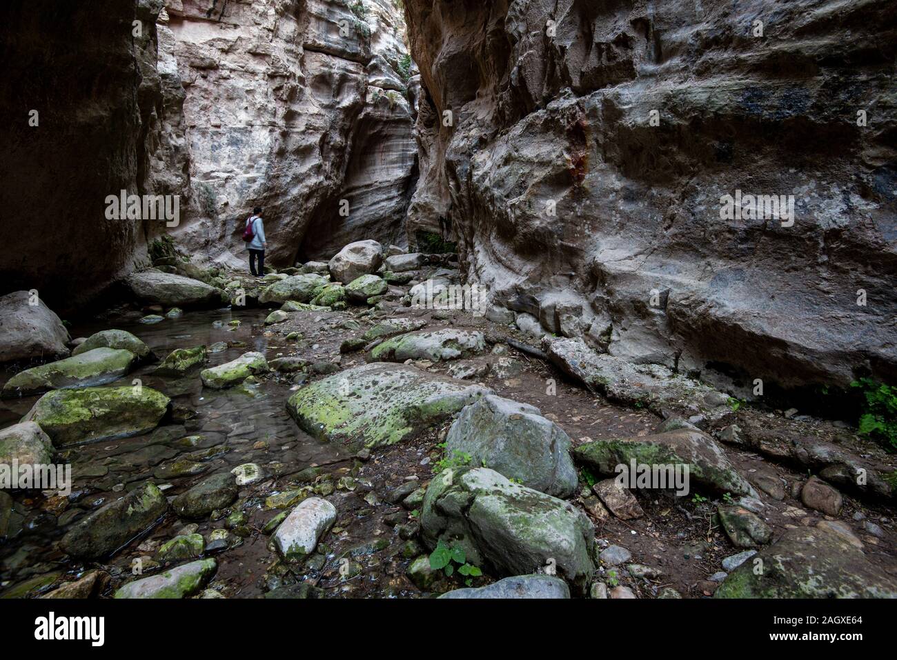 La célèbre, magnifique et pittoresque à gorge Avakas péninsule d'Akamas , Paphos à Chypre de district Banque D'Images