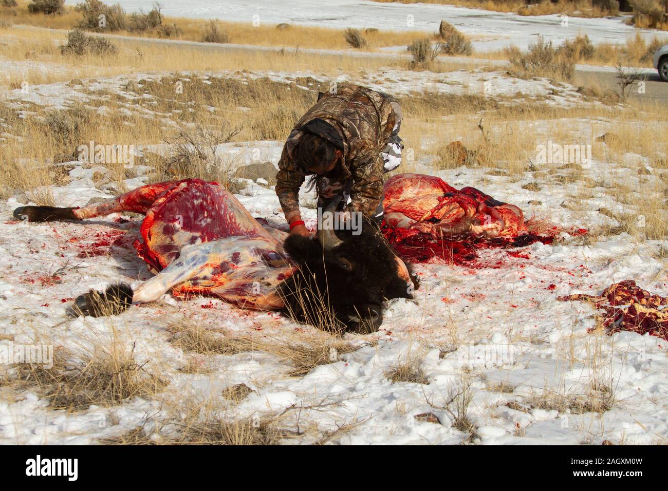 Un membre de la tribu des Nez Percé une robe buffalo kill Banque D'Images