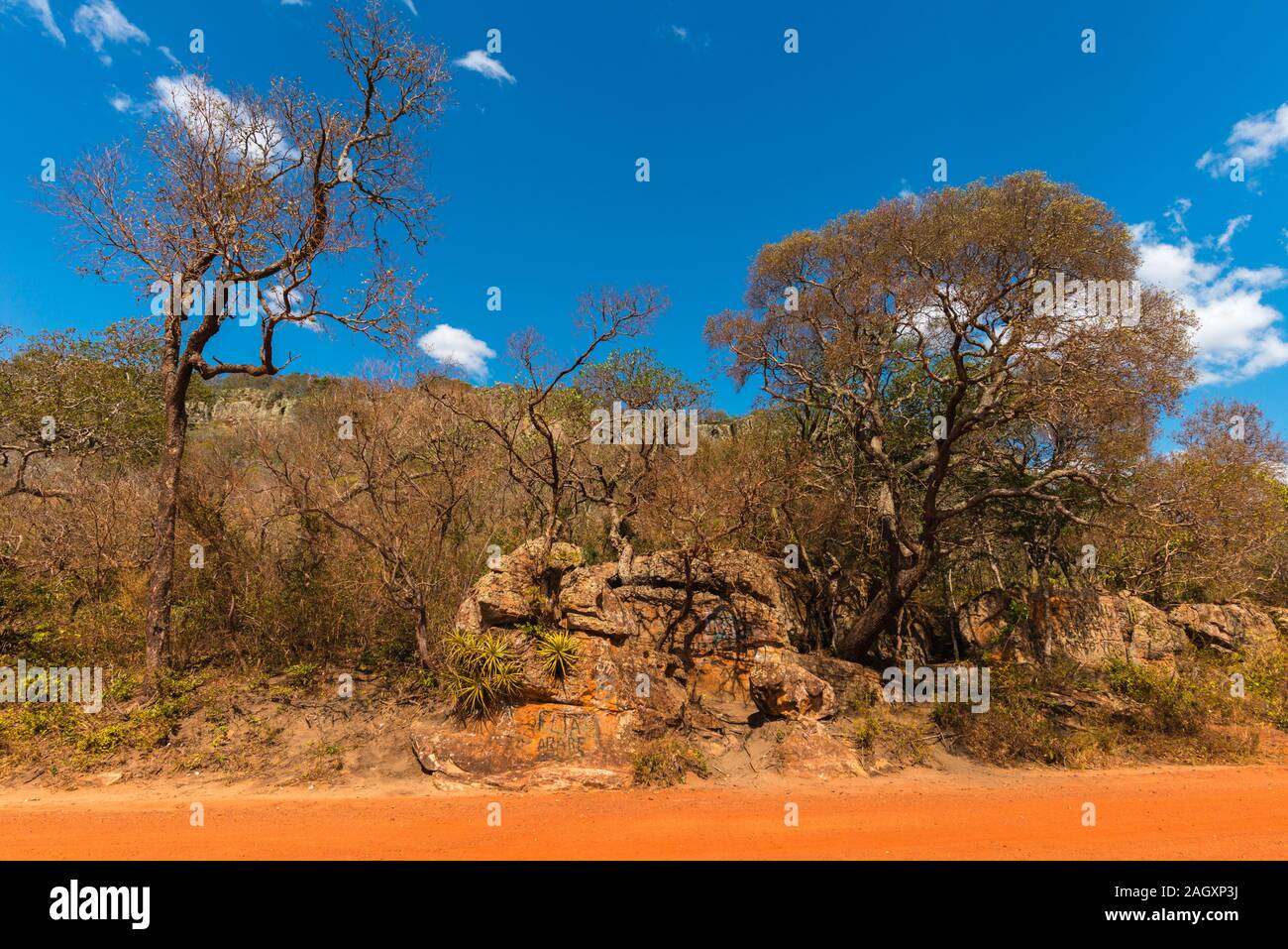 Dans les montagnes autour de San José de Chiquitos, circuit de la mission jésuite, Chiquitania, basses terres de l'Estart, Bolivie, Amérique latine Banque D'Images