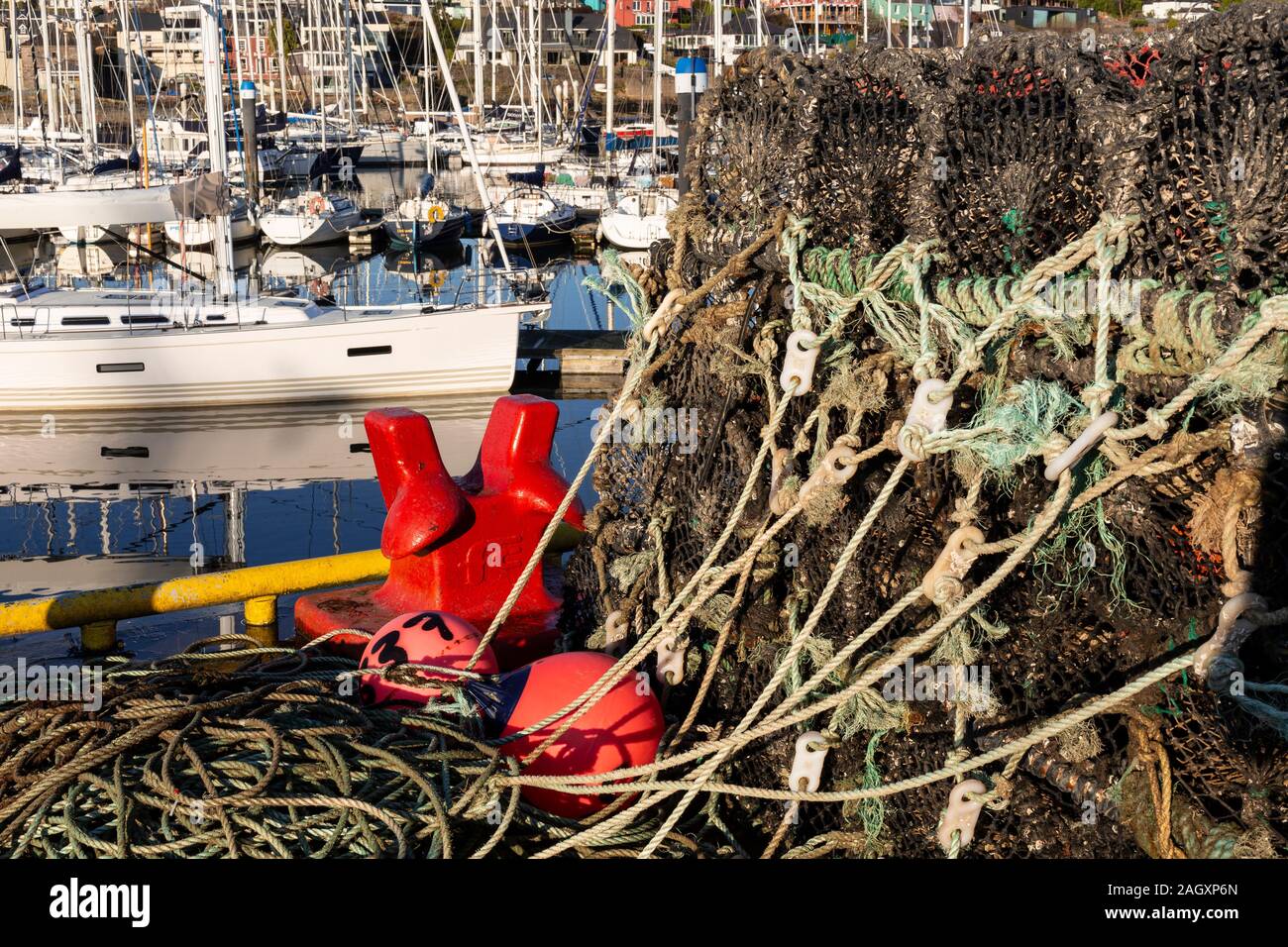 Des casiers à homard à Kinsale harbour, comté de Cork, Irlande Banque D'Images