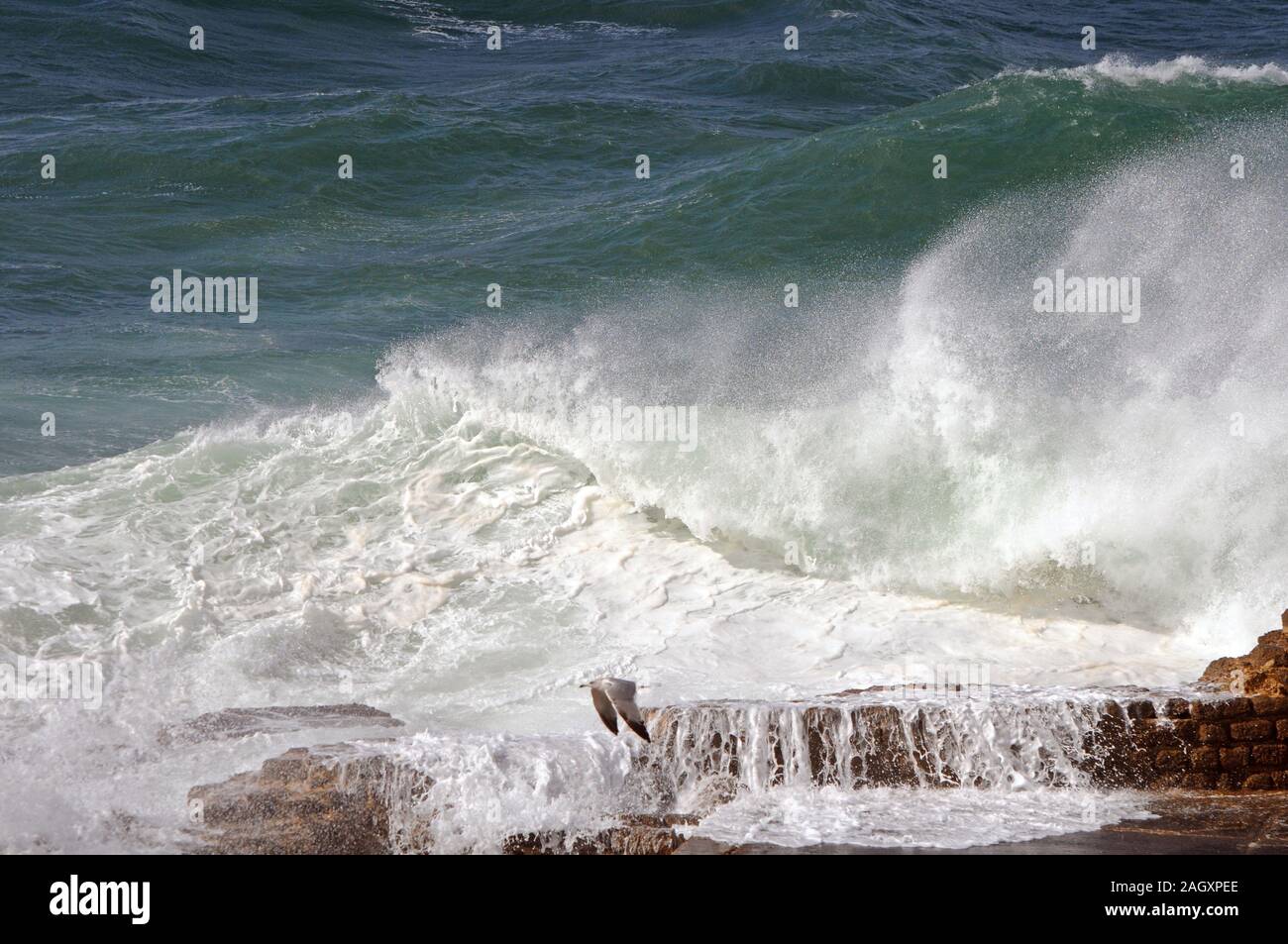 Vague se brisant sur les ruines de Césarée, vieux port, Israël Banque D'Images