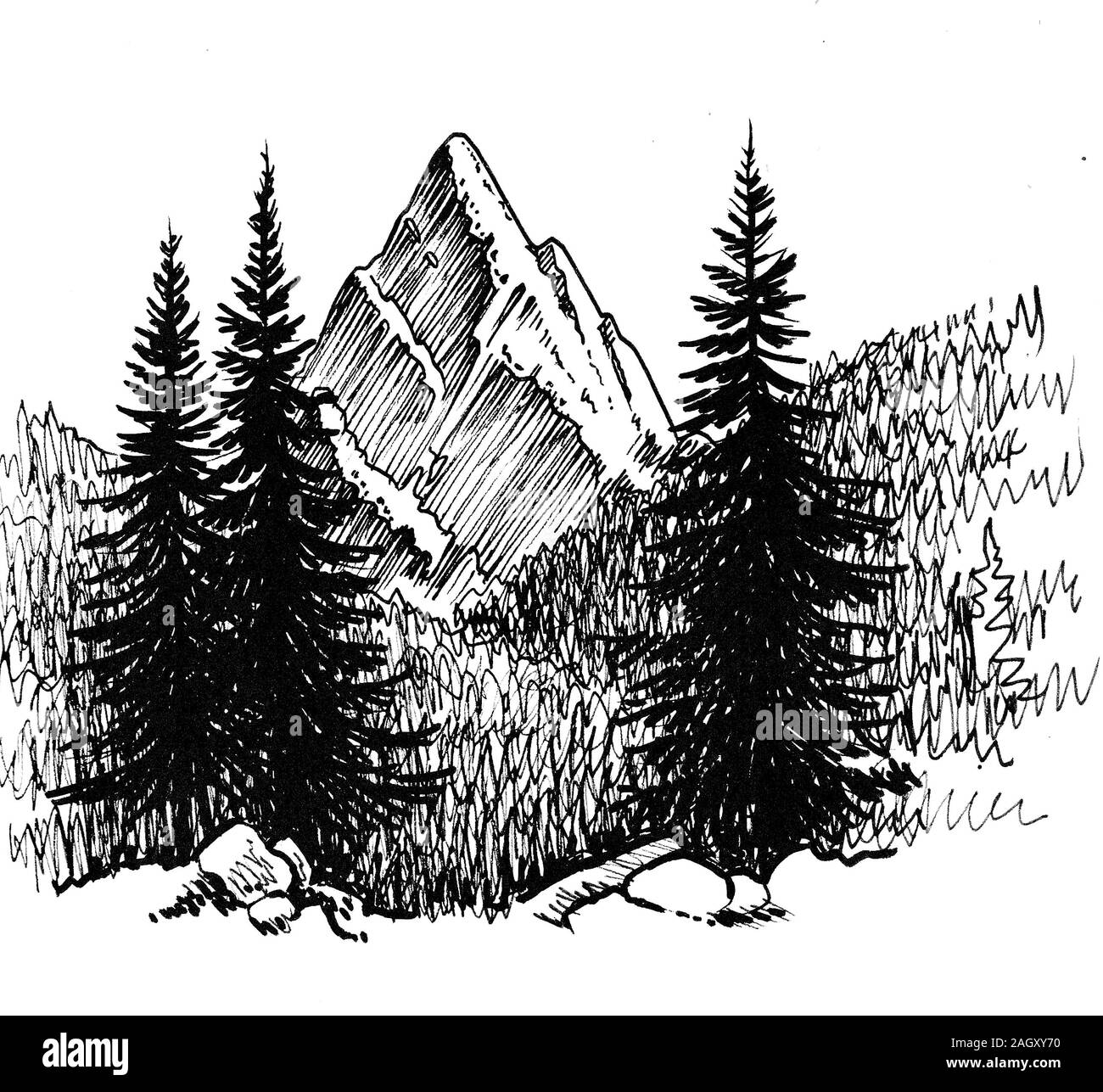 Sommet de montagne et forêt. Dessin noir et blanc Encre Banque D'Images