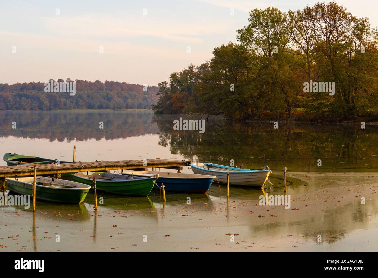 L'ambiance de la Kellersee était belle et mystérieuse. Banque D'Images