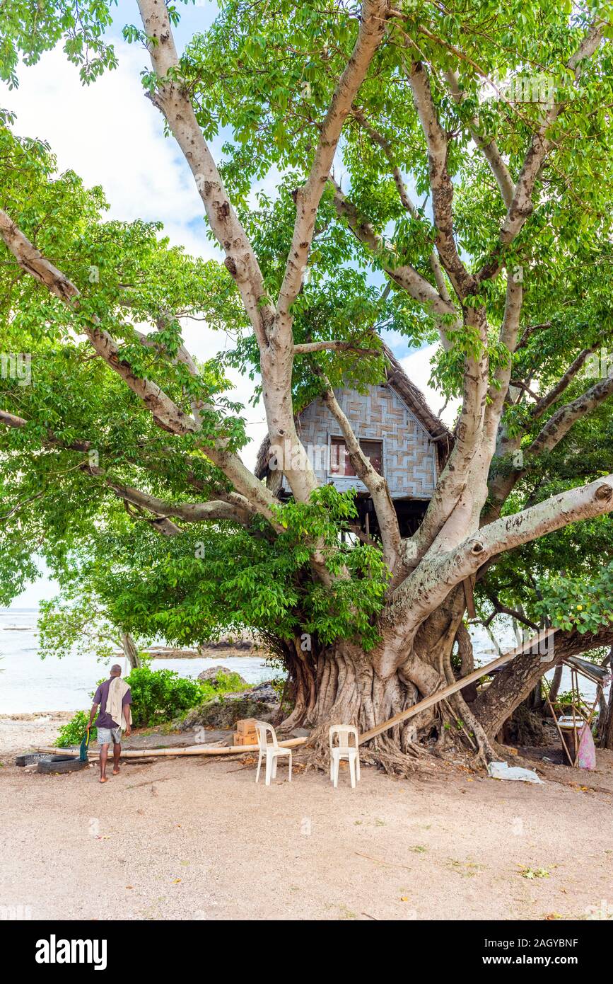 Une maison sur un arbre, l'île de Tanna, Vanuatu. La verticale Banque D'Images