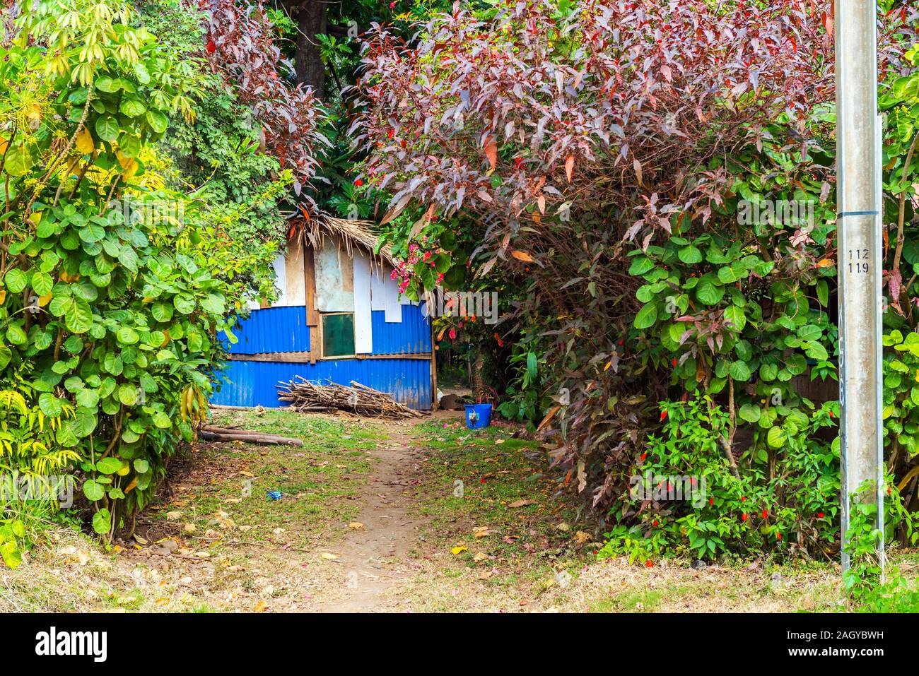 Bâtiment dans la forêt, l'île de Tanna, Vanuatu Banque D'Images