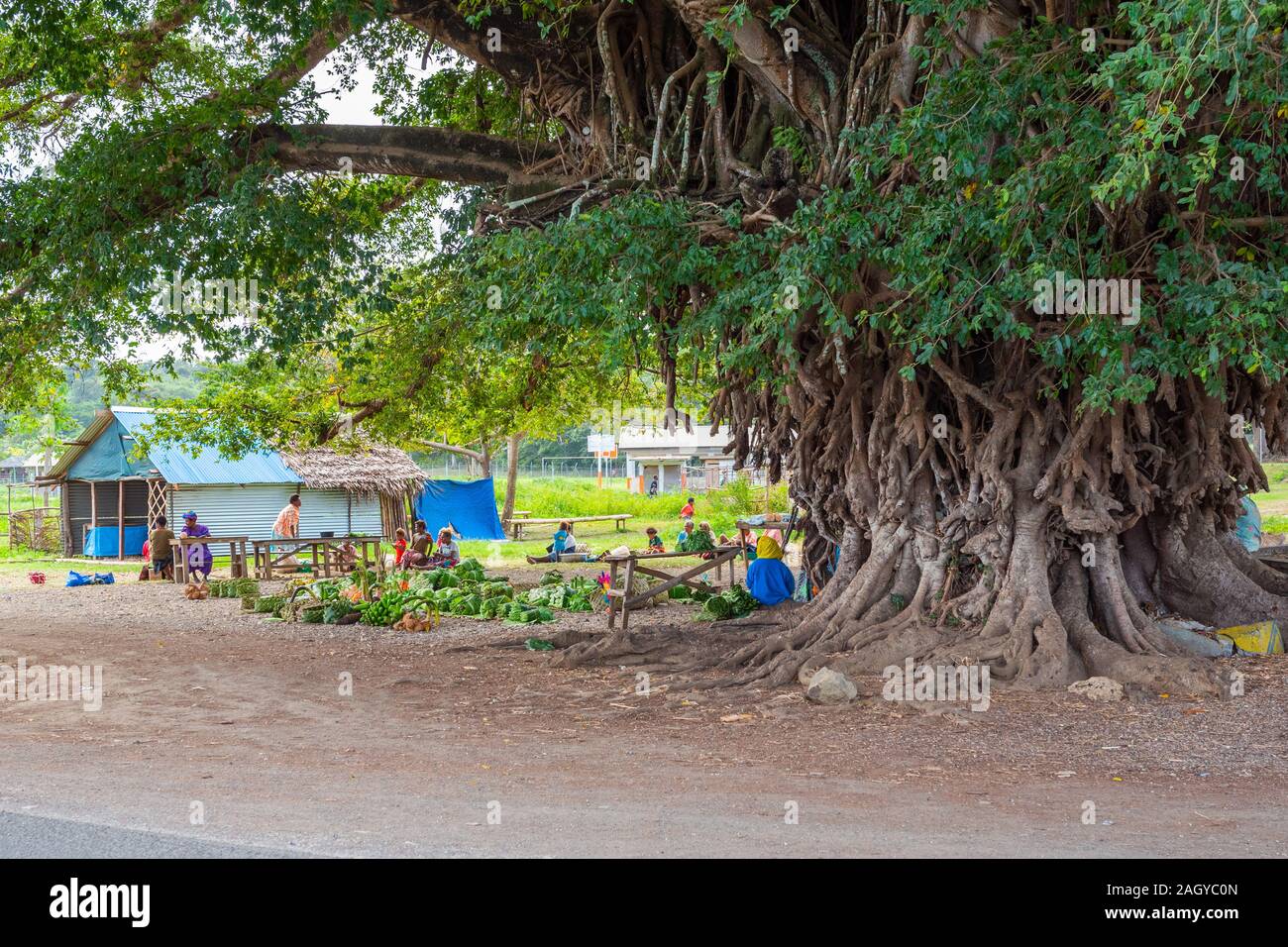 L'île de Tanna, VANUATU - Juillet 22, 2019 : Légumes du marché sous un énorme arbre Banque D'Images
