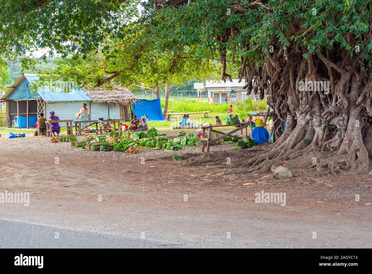 L'île de Tanna, VANUATU - Juillet 22, 2019 : Légumes du marché sous un énorme arbre Banque D'Images