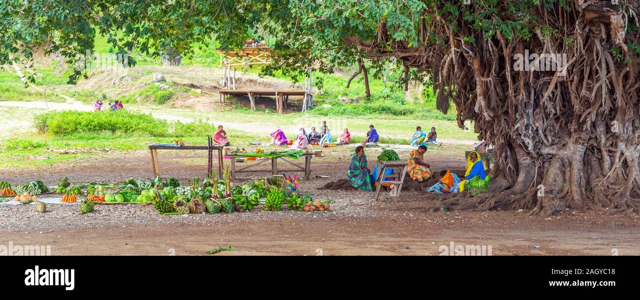 L'île de Tanna, VANUATU - Juillet 22, 2019 : Légumes du marché sous un énorme arbre Banque D'Images
