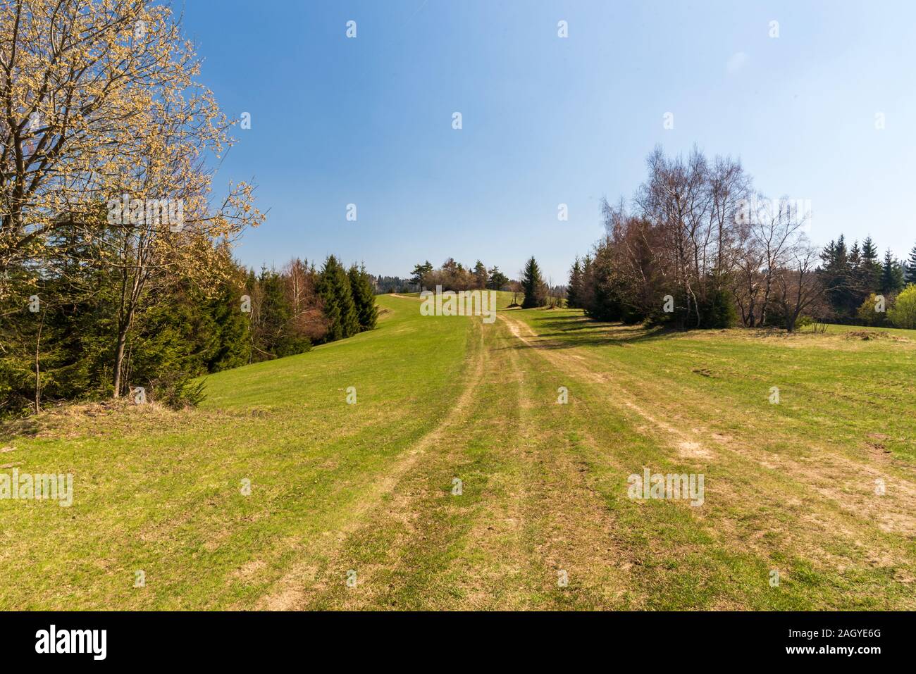 Springzime mountain prairie avec des arbres autour et clear sky dans Javorniky mountains en Slovaquie Banque D'Images
