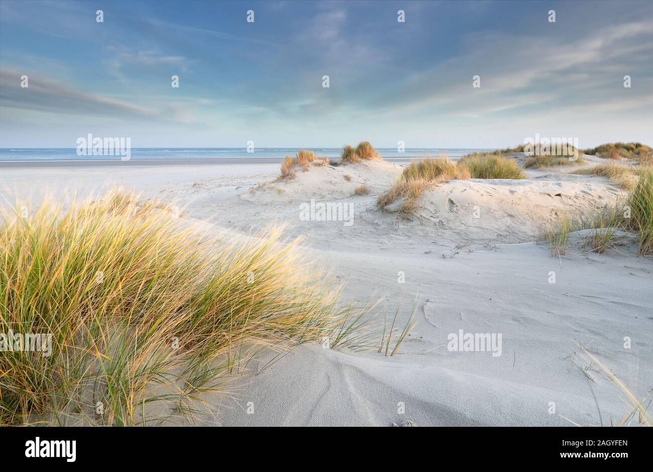 Dunes de sable de plage de la mer du Nord, Schiermonnikoog Banque D'Images
