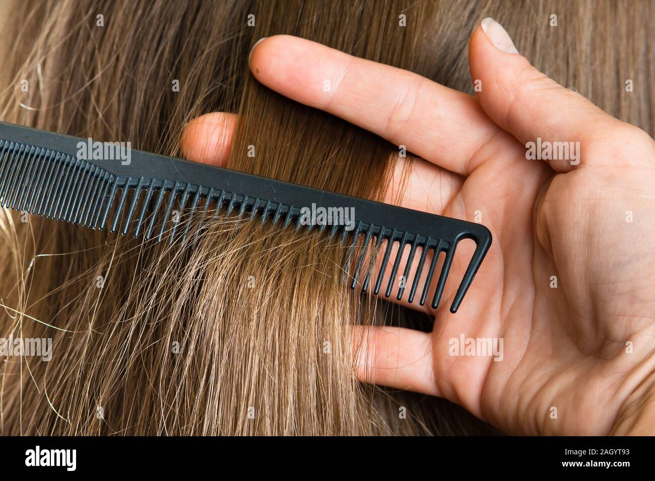 Main de hairdresser holding mèche de cheveux et un peigne, gros plan Photo  Stock - Alamy