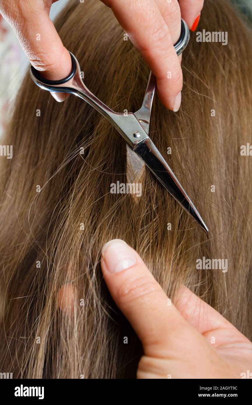 Main de coiffure cheveux coupe avec des ciseaux, gros plan Banque D'Images