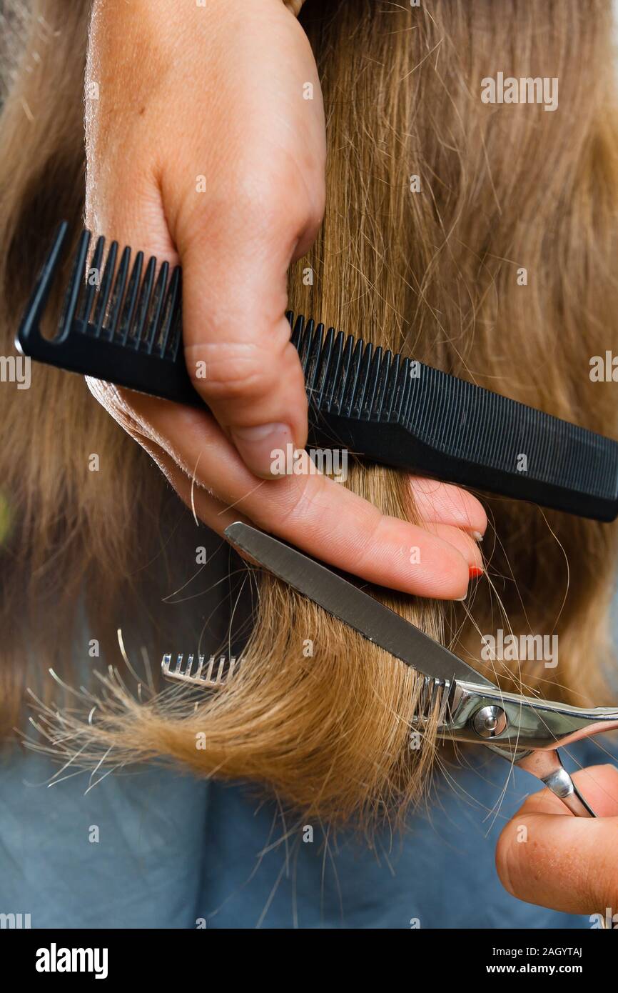 Main de coiffure cheveux coupe avec des ciseaux, gros plan Banque D'Images