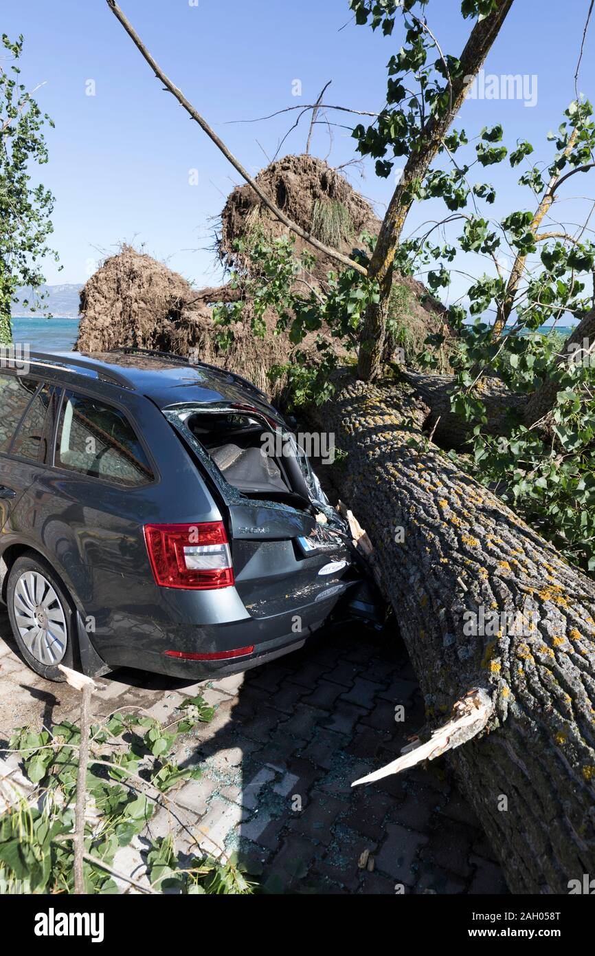 Macédoine Sveti Naum, Nord, le 11 juillet 2019 : Au cours d'une violente tempête, un arbre est tombé sur une voiture en stationnement sur le lac Ohrid en Macédoine du Nord Banque D'Images