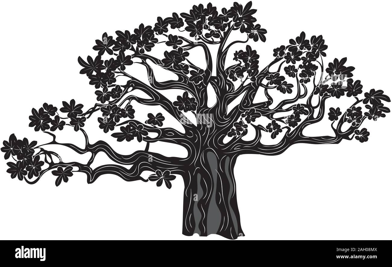 Baobab stylisé, abstract illustration design la silhouette des arbres. Illustration de Vecteur