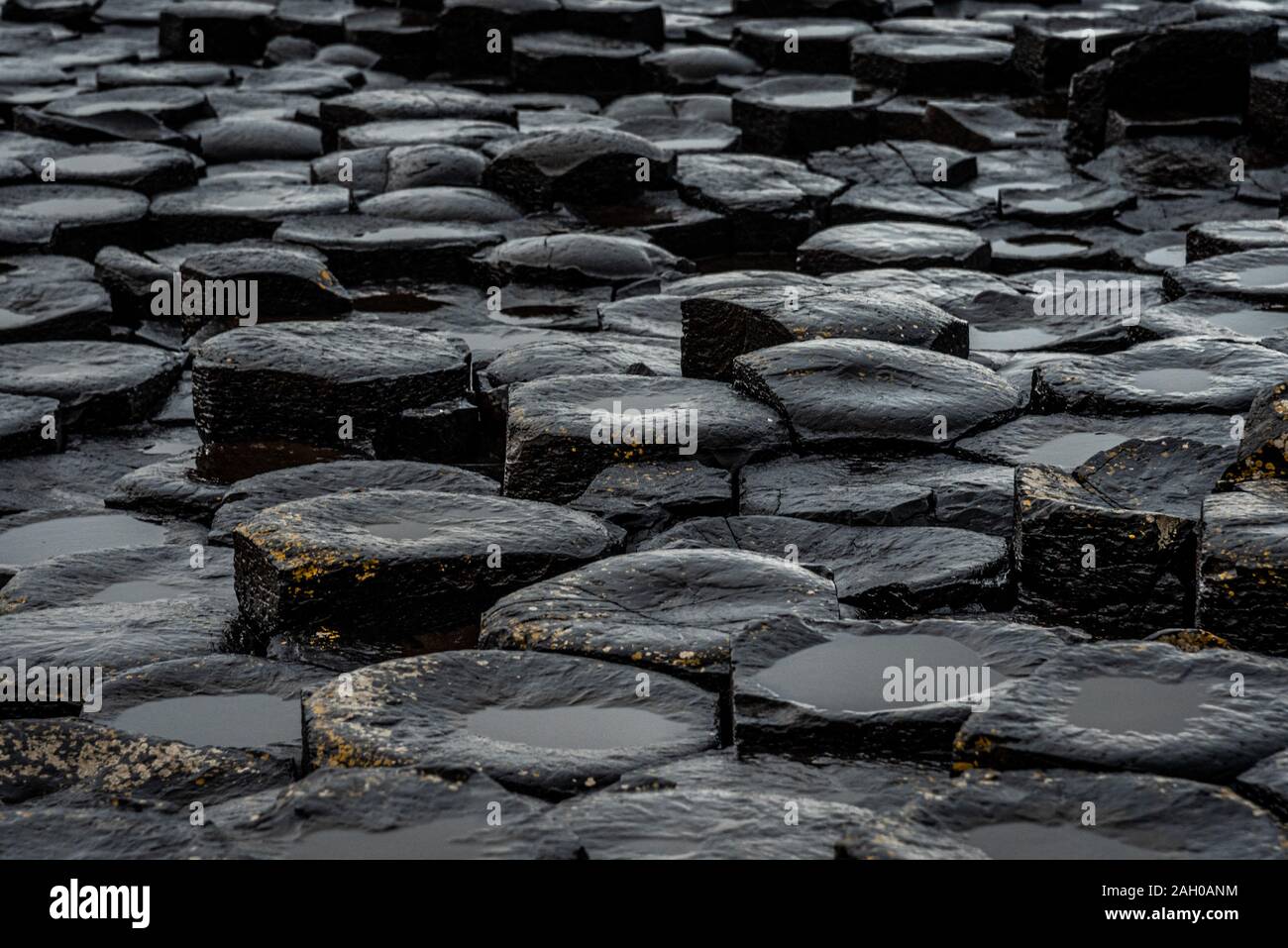 De près de l'hexagonale naturelles des pierres sur la côte appelée Giant's Causeway, un jalon dans l'Irlande du Nord. Banque D'Images