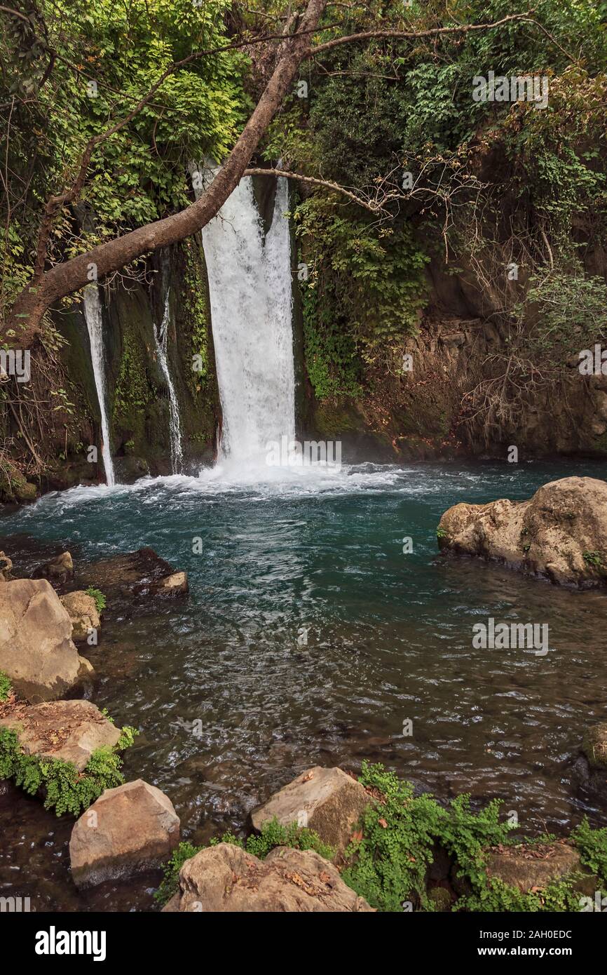 La cascade de Banias sur l'Hermon stream sur les hauteurs du Golan d'Israël passe par la végétation subtropicale luxuriante et cailloux Banque D'Images