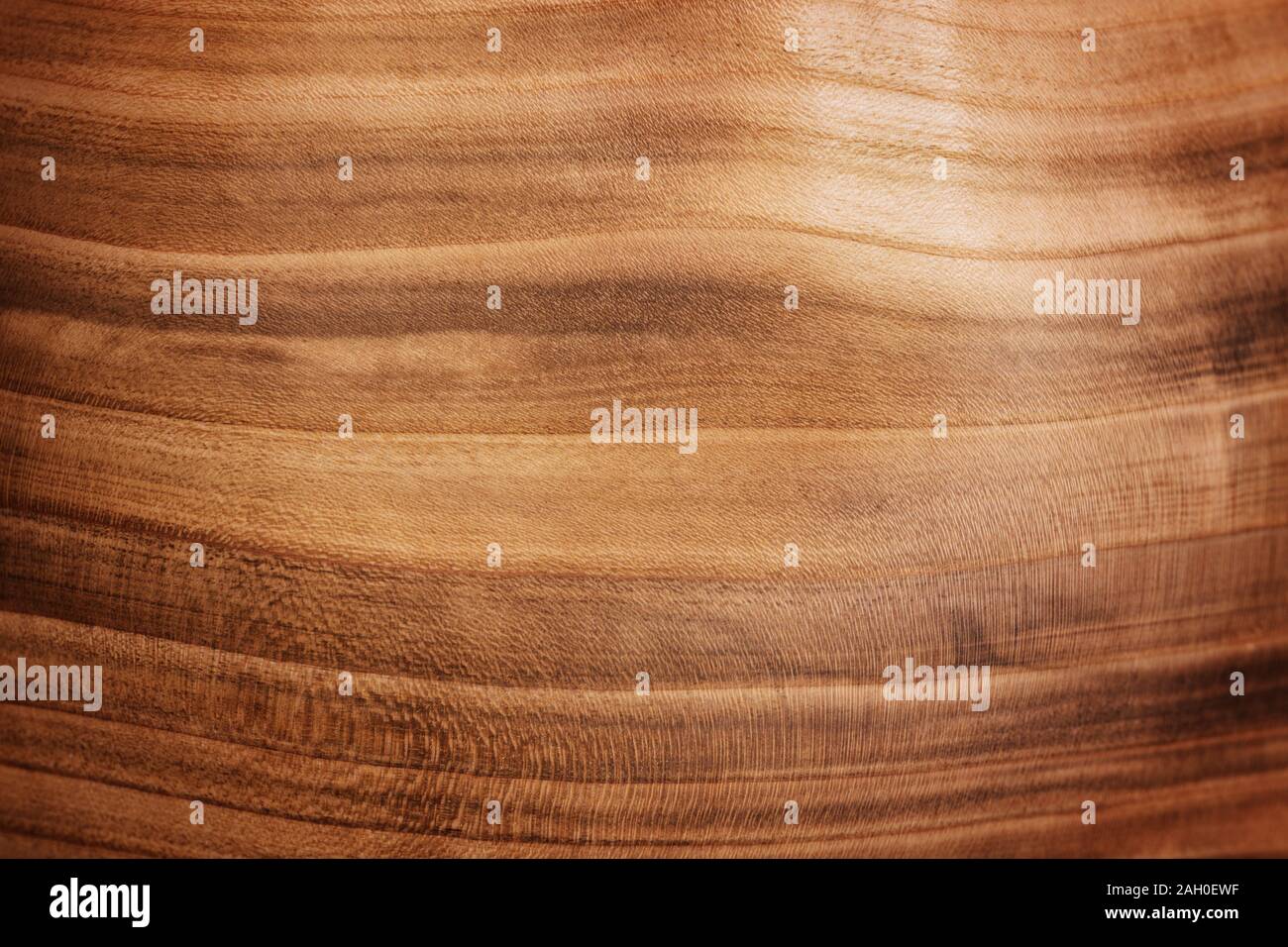 Plan rapproché sur la texture en bois. Fond naturel. Banque D'Images