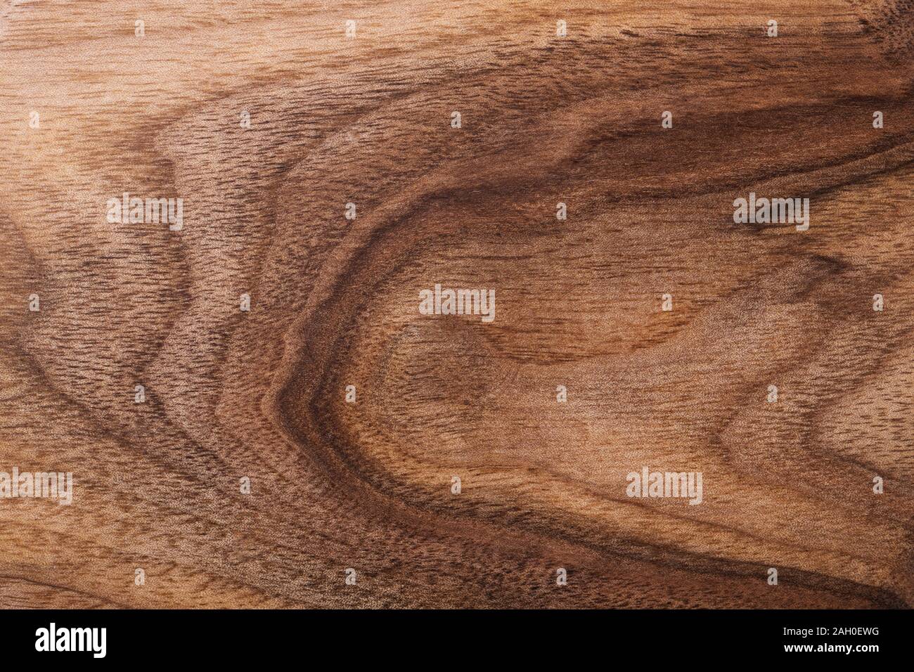 Plan rapproché sur la texture en bois. Fond naturel. Banque D'Images