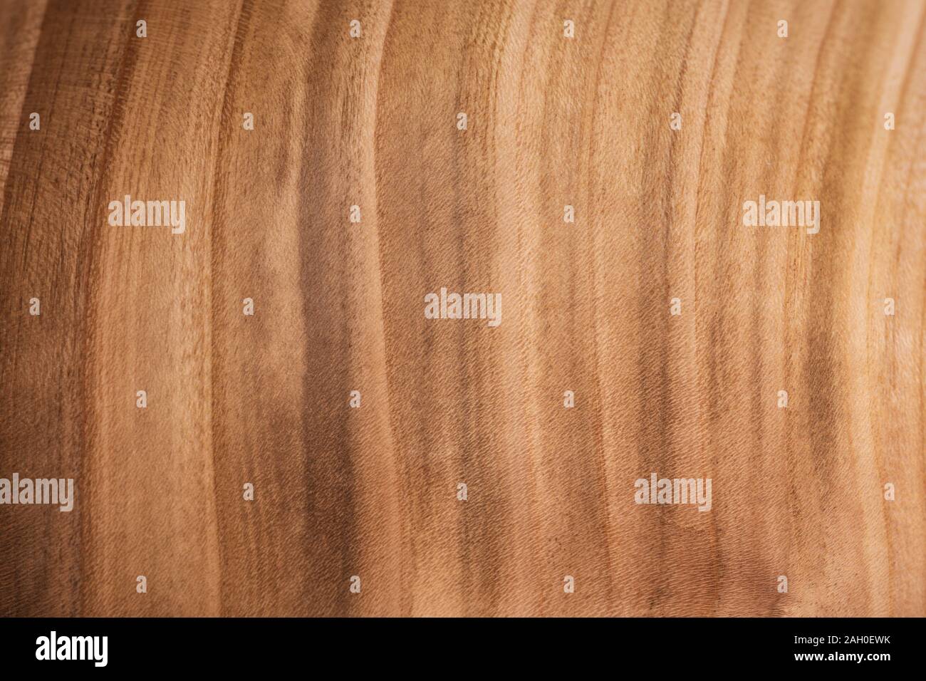 Plan rapproché sur la texture en bois. Fond naturel. Banque D'Images