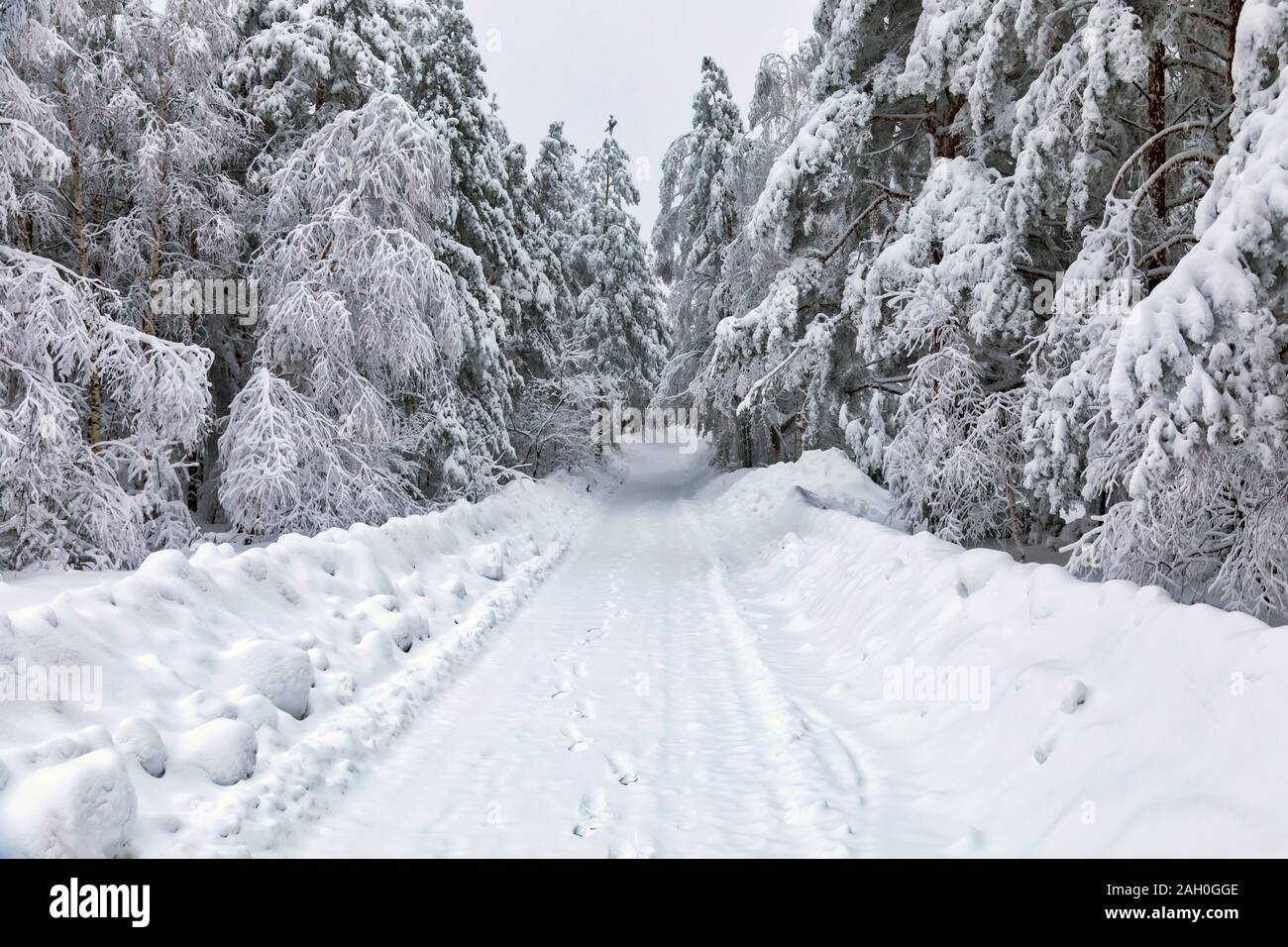 Route des montagnes couvertes de neige. Matin brumeux paysage d'hiver. Banque D'Images