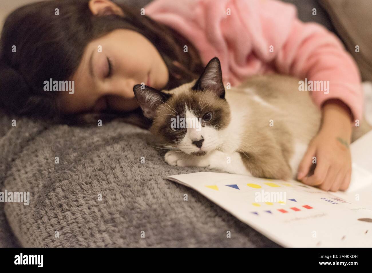 Fille De Dormir Avec Son Petit Chat A La Maison Detendu Sur Un Canape Dormir Alors Que Faire Ses Devoirs Photo Stock Alamy