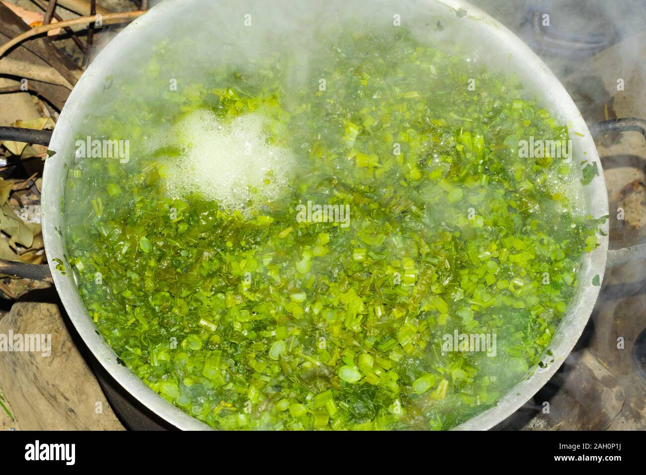 Feuilles brassica dans de l'eau bouillante, bulles d'eau sautent hors de l'eau.un plat local de l'Inde et le Pakistan qui s'appelle saag sarsoon. Banque D'Images