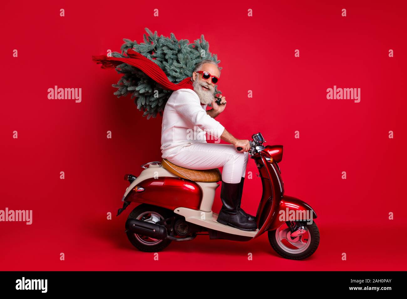 Full Size côté photo de profil cheerful pensionné sur la moto faire sapin  de noël voyage pressé de porter des pantalons pull rouge isolé Photo Stock  - Alamy