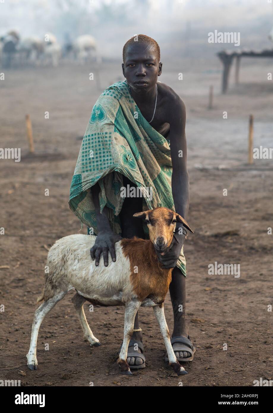 Mundari tribe boy en prenant soin d'une brebis dans un camp, l'Équatoria central, Terekeka, au Soudan du Sud Banque D'Images