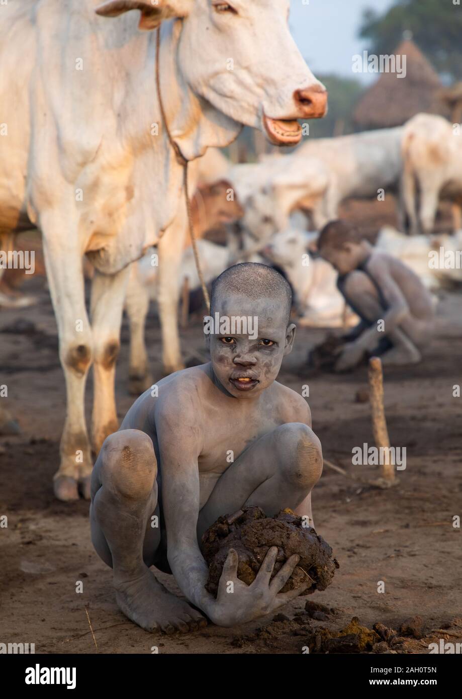 Les garçons de la tribu Mundari vache collecte dungs pour faire feu, l'Équatoria central, Terekeka, au Soudan du Sud Banque D'Images