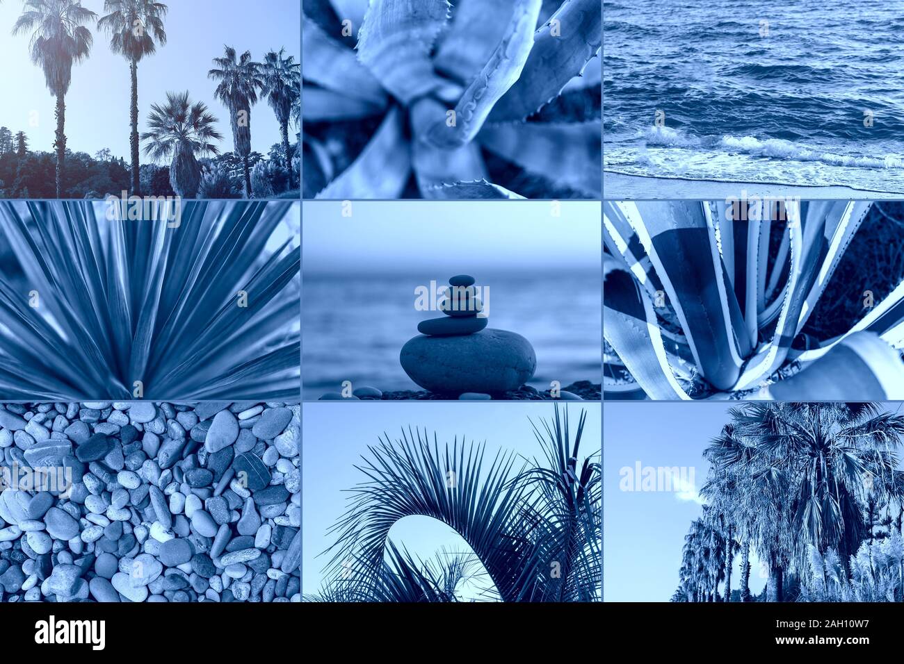 Collage créatif de couleur bleu classique. L'humeur à la mode. Concept de la nature. Mode classique Bleu Couleur de l'année 2020 Banque D'Images